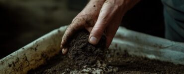 Le guide ultime des 7 meilleurs engrais bio pour des tomates vigoureuses