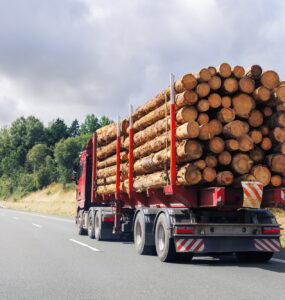 Back view many long heavy industrial wood carrier cargo vessel truck trailer with big timber pine