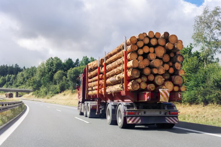 Back view many long heavy industrial wood carrier cargo vessel truck trailer with big timber pine