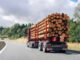Back view many long heavy industrial wood carrier cargo vessel truck trailer with big timber pine