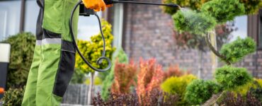 Pesticide Spraying Closeup
