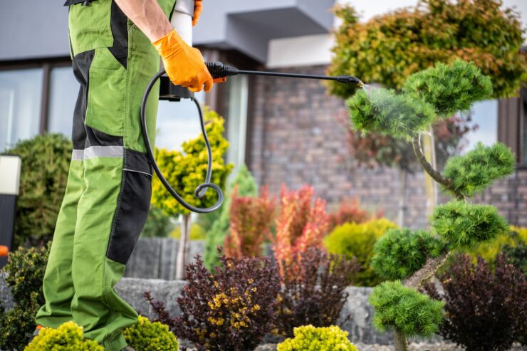 Pesticide Spraying Closeup
