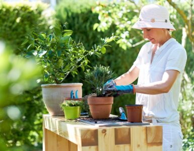 Woman potting oleander at table in garden