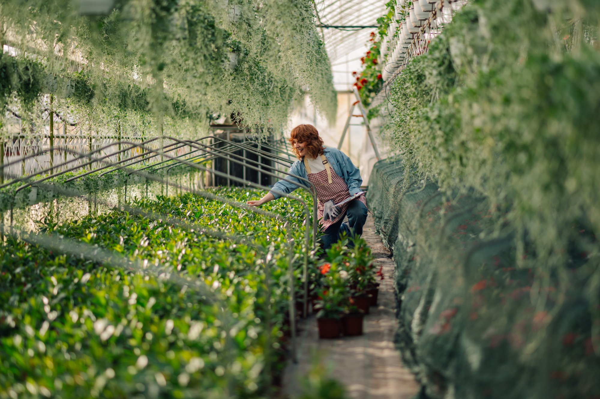 Florist kneeling in hothouse with clipboard and taking care of plants