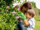 Mom and son taking care of plants in family garden
