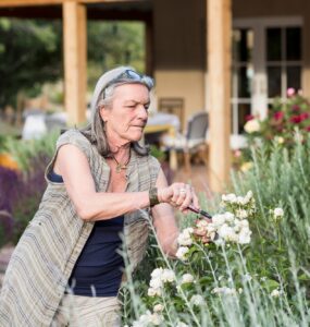 senior grandmother and her 5 year old grandson pruning roses in her garden