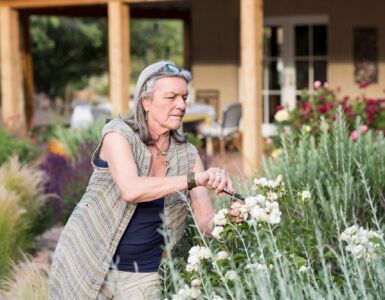 senior grandmother and her 5 year old grandson pruning roses in her garden