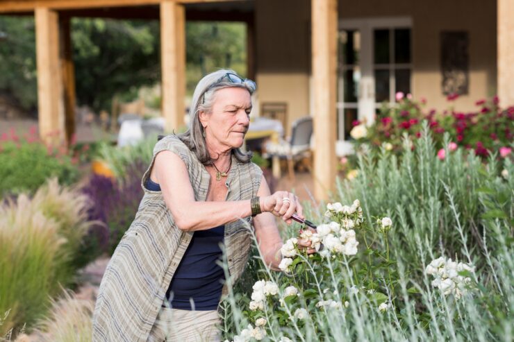 senior grandmother and her 5 year old grandson pruning roses in her garden