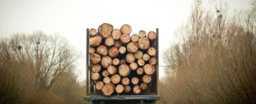 A truck loaded with firewood navigates a curved road through a dense forest