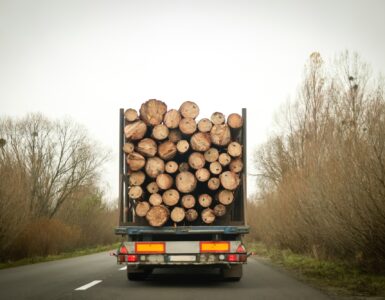 A truck loaded with firewood navigates a curved road through a dense forest