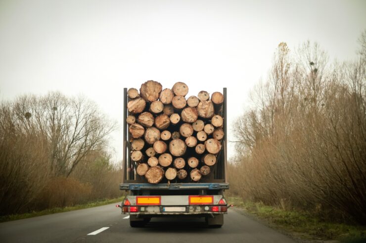 A truck loaded with firewood navigates a curved road through a dense forest