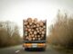 A truck loaded with firewood navigates a curved road through a dense forest