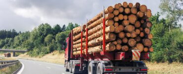 Back view many long heavy industrial wood carrier cargo vessel truck trailer with big timber pine