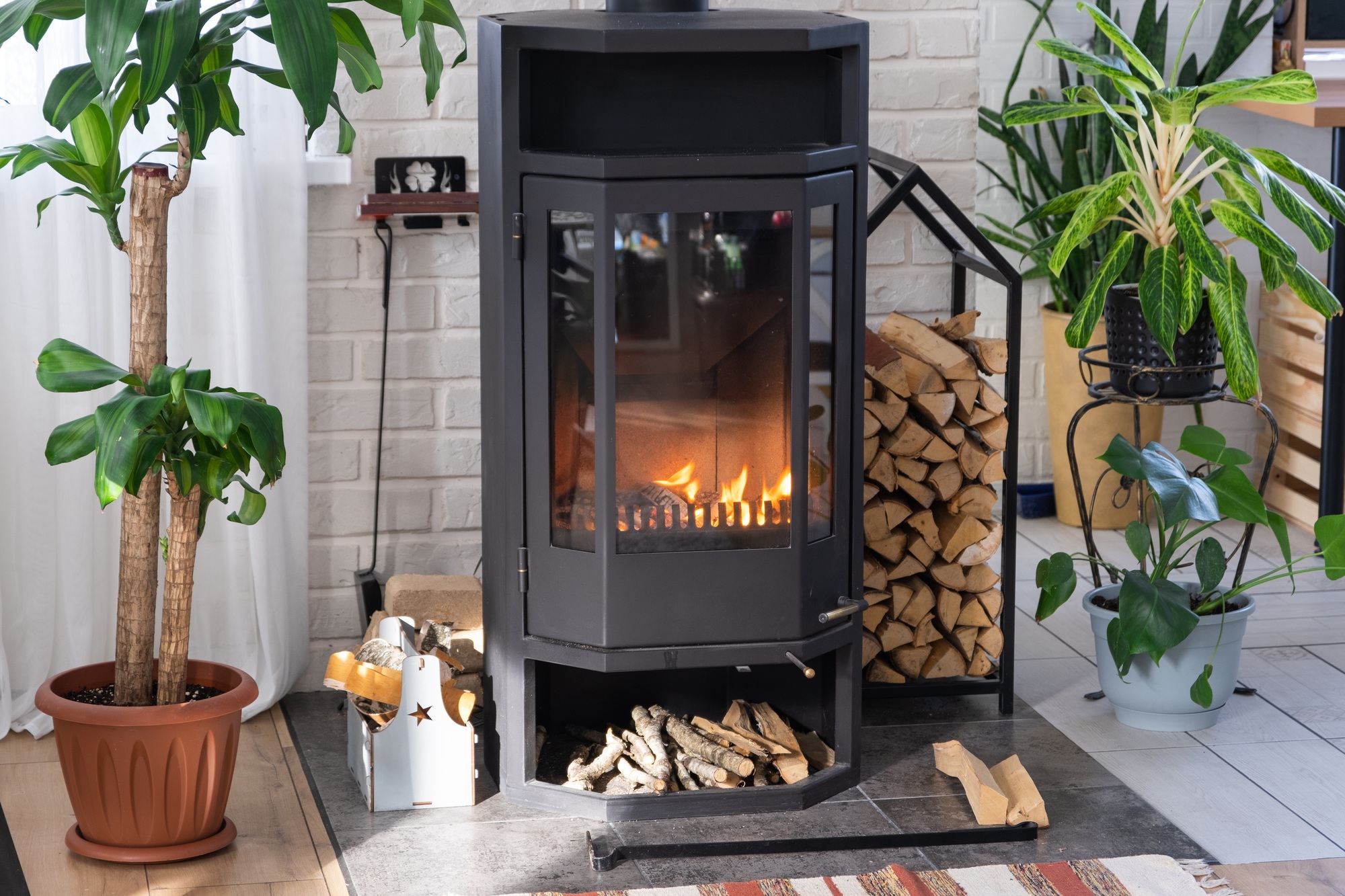 Black Metal Steel fireplace stove with fire and firewood in green home with indoor plant in flower p