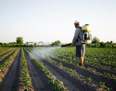 tuer les mauvaises herbes