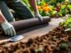 apprenez à installer efficacement une toile de paillage anti-racine dans votre jardin pour protéger vos plantations et limiter la pousse des mauvaises herbes.