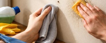 découvrez comment nettoyer efficacement la crotte de mouche sur la peinture en évitant les erreurs courantes pour préserver la surface et éviter les dégâts.