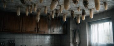 découvrez pourquoi des larves apparaissent au plafond de votre cuisine et comment prévenir cette métamorphose inquiétante pour garantir un environnement sain.