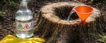 découvrez comment utiliser l'acide chlorhydrique pour détruire une souche en toute sécurité grâce à notre guide complet pour débutants.