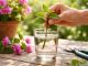 découvrez nos conseils d'experts pour réussir le bouturage du bougainvillier dans l'eau et profitez d'une multiplication efficace et simple de vos plantes.