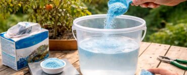découvrez les erreurs courantes à éviter lors du dosage de la bouillie bordelaise pour 5 litres afin d'assurer une application efficace et sécurisée sur vos plantations.