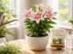 découvrez des conseils essentiels pour favoriser la floraison du lys grâce à des soins adaptés et efficaces.