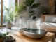 découvrez comment les fontaines à eau décoratives d'intérieur améliorent la qualité de l'air ambiant tout en apportant une touche esthétique et apaisante à votre espace de vie.